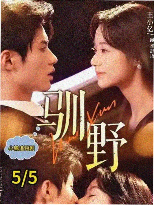 长夜将明剧集缩略图